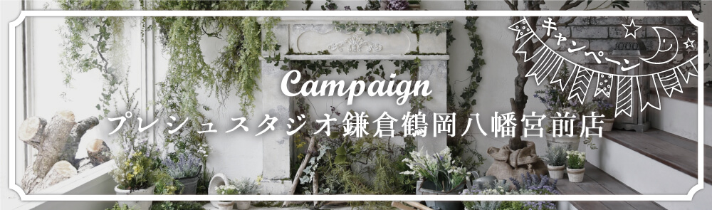 プレシュスタジオ鎌倉鶴岡八幡宮前店 お知らせ・キャンペーン Campaign