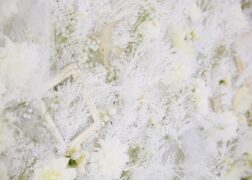 一面に白いお花を敷き詰めたスタジオセット　こだわりのお花とアンティーク風のフレーム