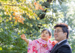 3歳の七五三の神社出張撮影 鎌倉鶴岡八幡宮