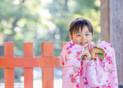 3歳の七五三の神社出張撮影 鎌倉鶴岡八幡宮
