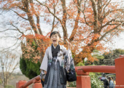 5歳の七五三の神社出張撮影 鎌倉鶴岡八幡宮