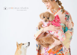 柴犬&トイプードルと成人式の記念写真撮影 ピンクの振袖