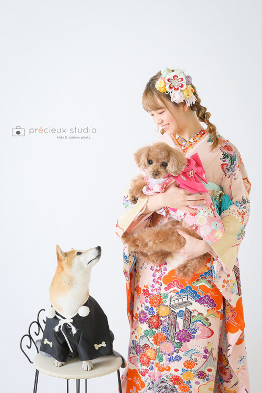 柴犬&トイプードルと成人式の記念写真撮影 ピンクの振袖