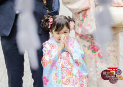 鎌倉鶴岡八幡宮に3歳の七五三のお参り 水色とピンクの被布の女の子と両親 プレシュスタジオ出張撮影