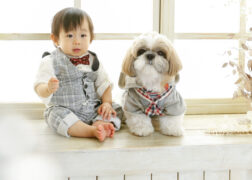 愛犬と一緒に男の子のお誕生日の記念写真撮影 シーズー