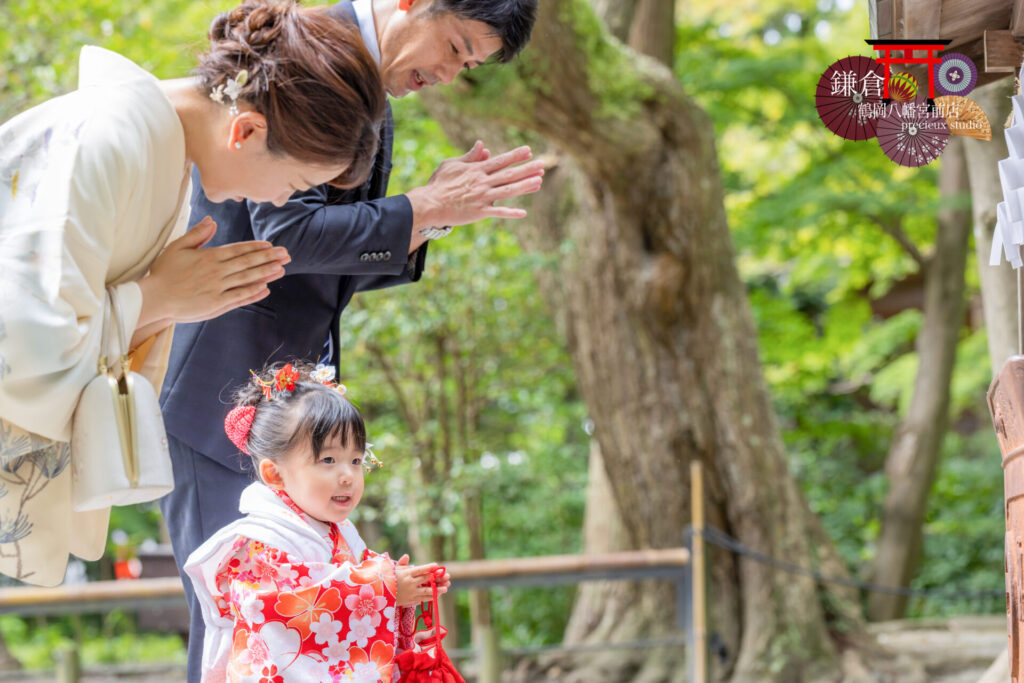 神社に七五三のお参り 赤い被布の3歳の女の子と両親も着物で参拝