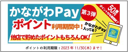 かながわPay第3弾 プレシュスタジオ鎌倉鶴岡八幡宮前店・横浜港北店 ポイント利用期間中！他店で貯めたポイントもちろんOK！ポイントの利用期限 2023年11月30日(木)まで