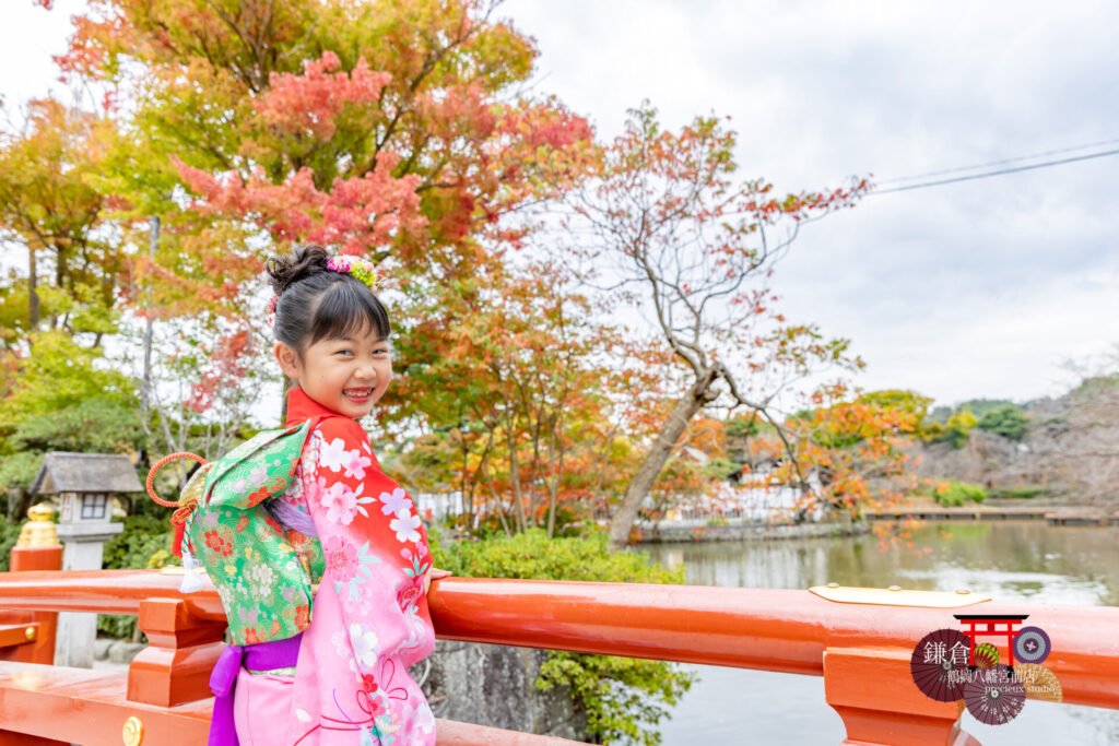 ピンクの着物に緑の帯で七五三記念写真撮影 鎌倉鶴岡八幡宮の紅葉と一緒に