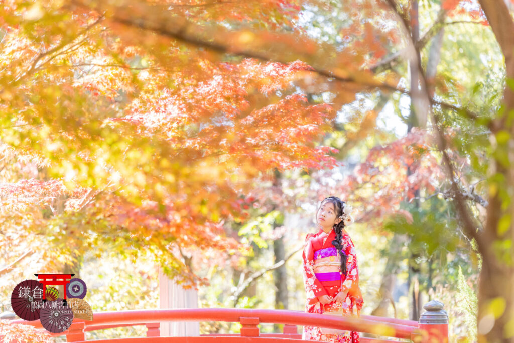 鎌倉鶴岡八幡宮で七五三の出張撮影