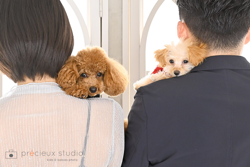 愛犬と一緒に家族写真撮影 ご家族に抱っこされる背中