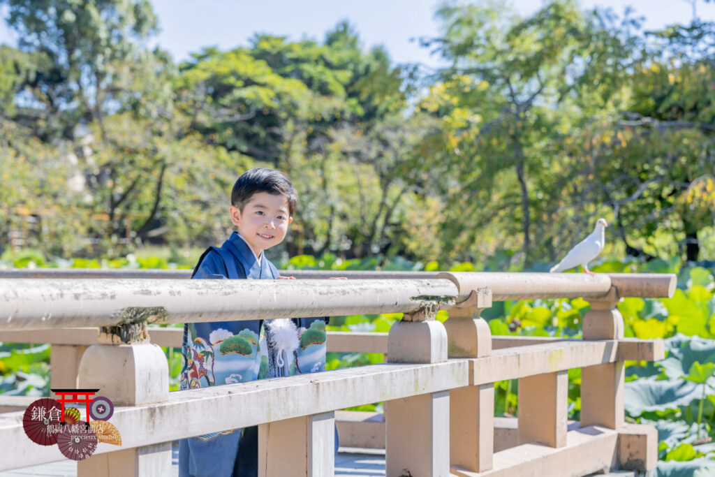 5歳の七五三で鎌倉鶴岡八幡宮にお参り 青い羽織袴の男の子