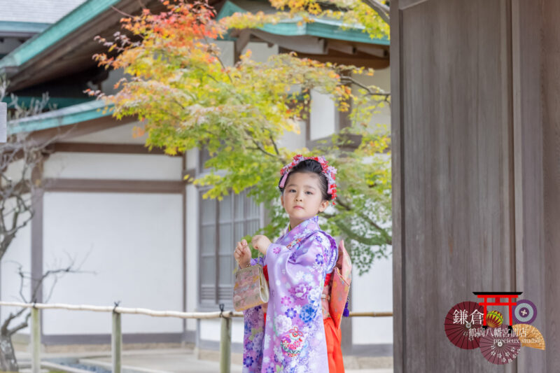 鶴岡八幡宮に七五三参り