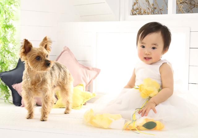 女の子と小型犬の記念写真撮影 成長記録ポートレート