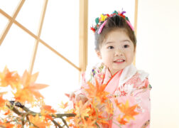 3歳の七五三記念写真撮影 ピンクの着物で紅葉のオブジェと一緒に撮影