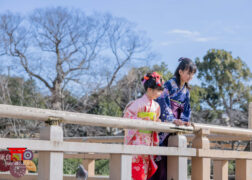 鎌倉鶴岡八幡宮で七五三の記念写真撮影 姉妹で着物姿でお参り