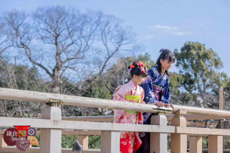 鎌倉鶴岡八幡宮で七五三の記念写真撮影 姉妹で着物姿でお参り