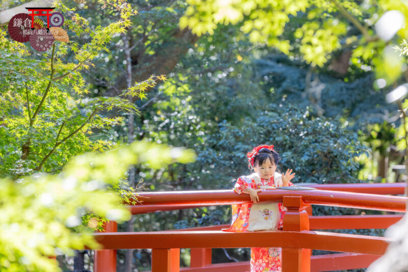 鎌倉鶴岡八幡宮に3歳の七五三詣り 朱色の橋からカメラ目線の女の子